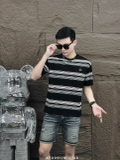 AT0091 (M-L) | QLE1