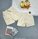 KN0010 (28-34) | THO1