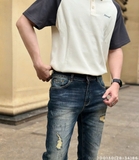 JD0130 (28-34) | THO1