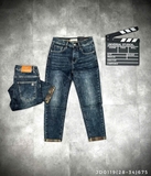 JD0119 (28-34) | LMN1