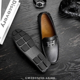 GM0005 (38-43) | ALO1