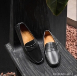 GM0009 (38-43) | ALO1