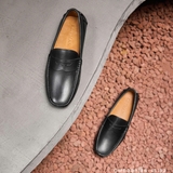 GM0009 (38-43) | ALO1
