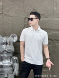 AP0155 (R: S-XL) | DHA1