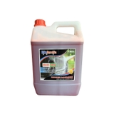 Dung dịch rửa xe không chạm Ekokemika BIO45 5 lít