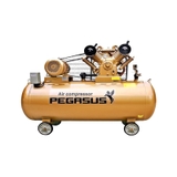 Máy nén khí 2 cấp Pegasus TM-V-1.05/12.5-500L 10HP – Thiết Bị Nam Cường