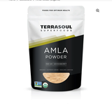 Bột quả lý gai Amla hữu cơ Terrasoul