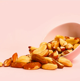 Hạt quả hạch Brazill Nuts hữu cơ Elan 185g