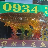 Cá rồng linh vật