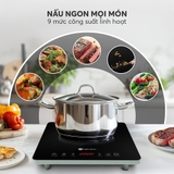 Bếp điện từ Elmich ICE9300