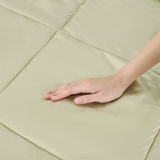 Bộ Chăn Ga Gối 100% Tencel 300T ETS02