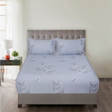 Bộ Ga Gối 100% Tencel 300T ETP02