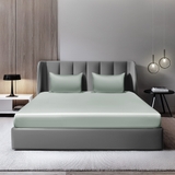 Bộ ga gối 100% tencel ETS06 (gồm 2 vỏ gối 50*70cm và 1 ga chun 160*200cm)