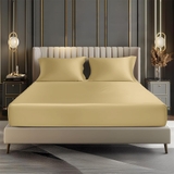 Bộ Ga Gối 100% Bamboo 300T EBS01