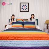 Chăn Cánh Đồng Hoa Tulip NO.2