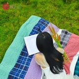 Success Line Blanket