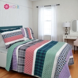 Success Line Blanket