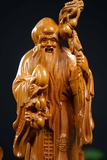 TAM ĐA 40 BÁCH XANH