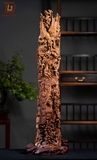 CHIM PHƯỢNG SƯA GIÀ 17463