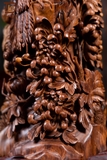 CHIM PHƯỢNG SƯA GIÀ 17463