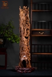 CHIM PHƯỢNG SƯA GIÀ 17463