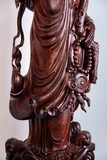 ĐẠT MA TỬ ĐÀN 18193