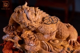 CÓC HOÀNG ĐÀN 19164
