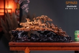 BÁT MÃ SƯA GIÀ QUẢNG BÌNH BH 19453