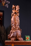 DI LẶC SƯA 19508