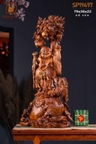 DI LẶC SƯA 19497