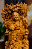 DI LẶC HOÀNG ĐÀN 20451