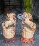 CẶP NHẤT MÃ HOÀNG ĐÀN 19038