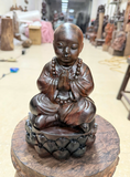 TIỂU ĐỒNG TRẮC BH 19646