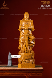 TRẦN QUỐC TUẤN 60 BÁCH XANH