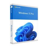 Phần mềm Win Pro FPP 11 64-bit Eng Intl USB (HAV-00163)