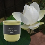 Gardenia white Lotus