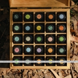 WS thưởng lãm tinh dầu