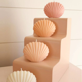 Nến Tạo Hình Sò DAMAS