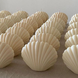 Nến Tạo Hình Sò DAMAS