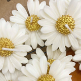 Nến Tạo Hình Hoa Cúc DAMAS