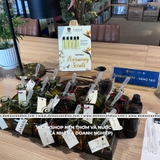 WS NƯỚC HOA VICTORIA SCHOOL