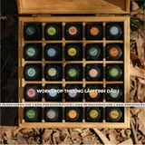 Thưởng lãm tinh dầu