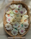 Hoa cúc (nến tạo hình)