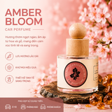 AMBER BLOOM