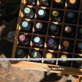 Thưởng lãm tinh dầu