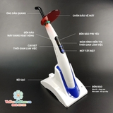 Đèn trám quang trùng hợp COXO DB-686 Latte