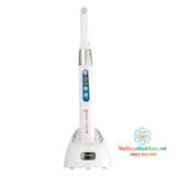 Đèn trám quang trùng hợp I.LED Woodpecker chính hãng (Cái)