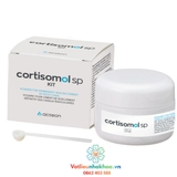 Cement trám bít ống tủy Cortisomol