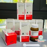 Cement trám bít ống tuỷ Endomethasone Septodont