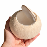 Dừa khô trọc
